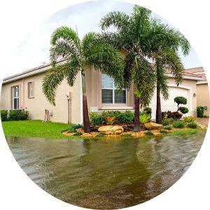 Home with Palm Trees and Flooded Yard